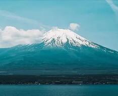 武威职业技术学院单招专业（单招武威职业技术学院报名报错了专业 好后悔 该怎么办 求帮助）