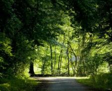 湖南财政经济学院会计学院（湖南财政经济学院会计专业怎么样）